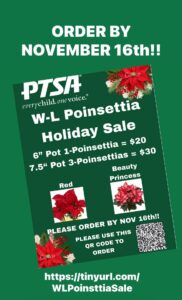 Poinsetta Sale 