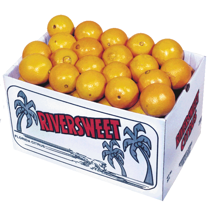 345bunaveloranges Washington Liberty