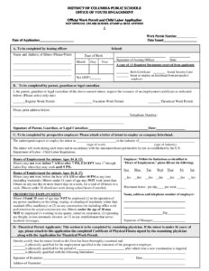 DCPS-Work-Permit-Application