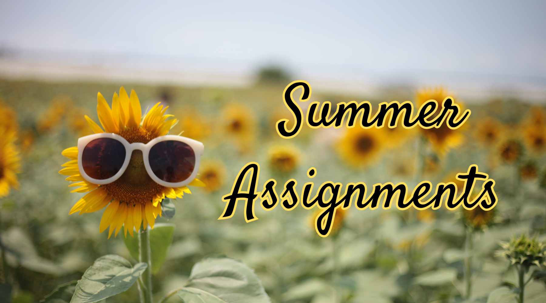 Sunflower with sunglasses and text says Summer Assignments