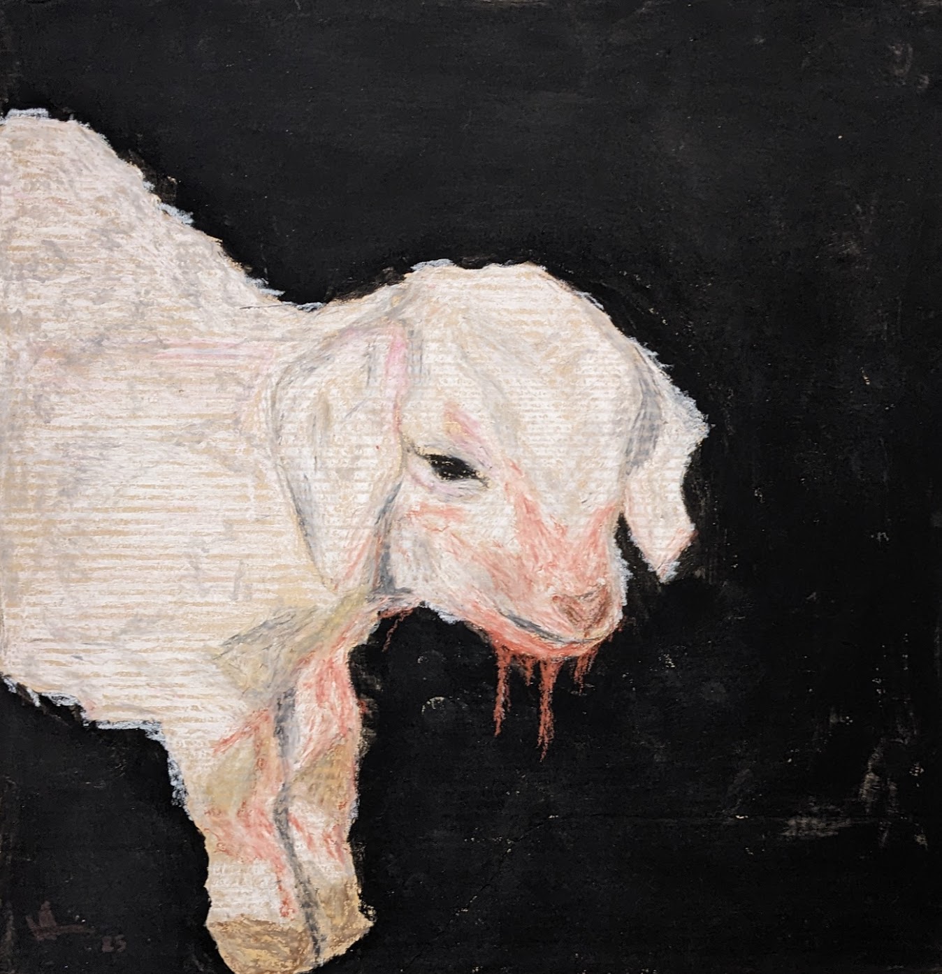lamb